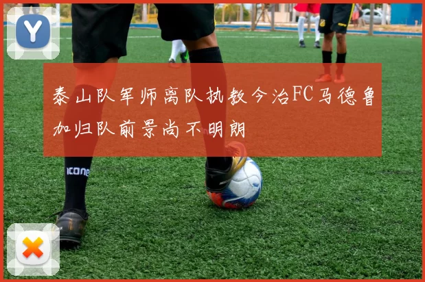 泰山队军师离队执教今治FC马德鲁加归队前景尚不明朗